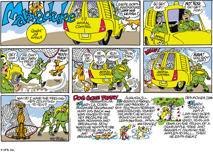 marmaduke